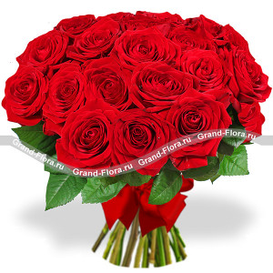 17 roses (70 cm) - a bouquet of red roses